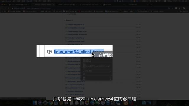 超轻量级NPS内网穿透自带后台设置界面，超好用FRP可以下台了。 смотреть онлайн