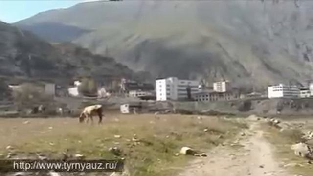 Природа Тырныауза смотреть онлайн