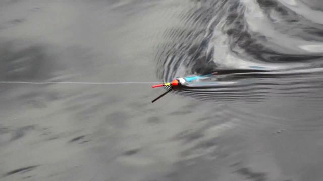 Здесь рыбы НЕТ смотреть онлайн