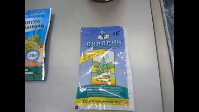 И не бойтесь сибиряки восточную лилию выращивать!!! смотреть онлайн