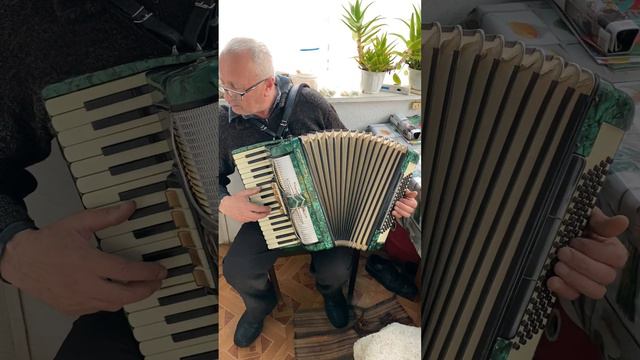Accordion Firotti, 3/4 accordion, 80 Bass, 34 keys, 3 voices, 5+3 registers, New straps, On sale смотреть онлайн