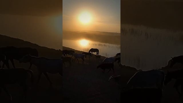 Красивейший закат...02.09.2022 год. КАЗАХСТАН.(Шахтинск-Караганда). смотреть онлайн
