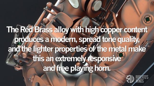 RW Pro Series Saxophone Red Brass смотреть онлайн