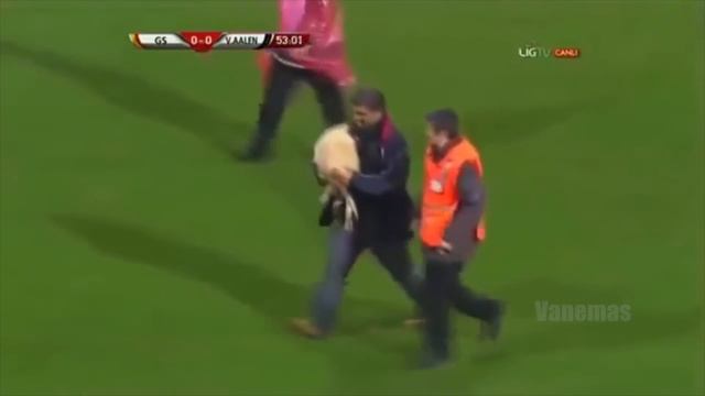 When Animals enter the Football Pitch смотреть онлайн