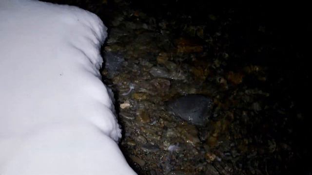 Цунами 30см во Владивостоке 1 января 2024г. Какое цунами , такое и видео. Все претензии не к автору смотреть онлайн