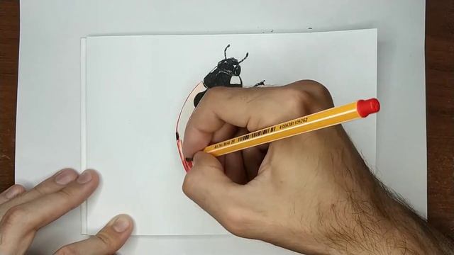 Как нарисовать божью коровку смотреть онлайн
