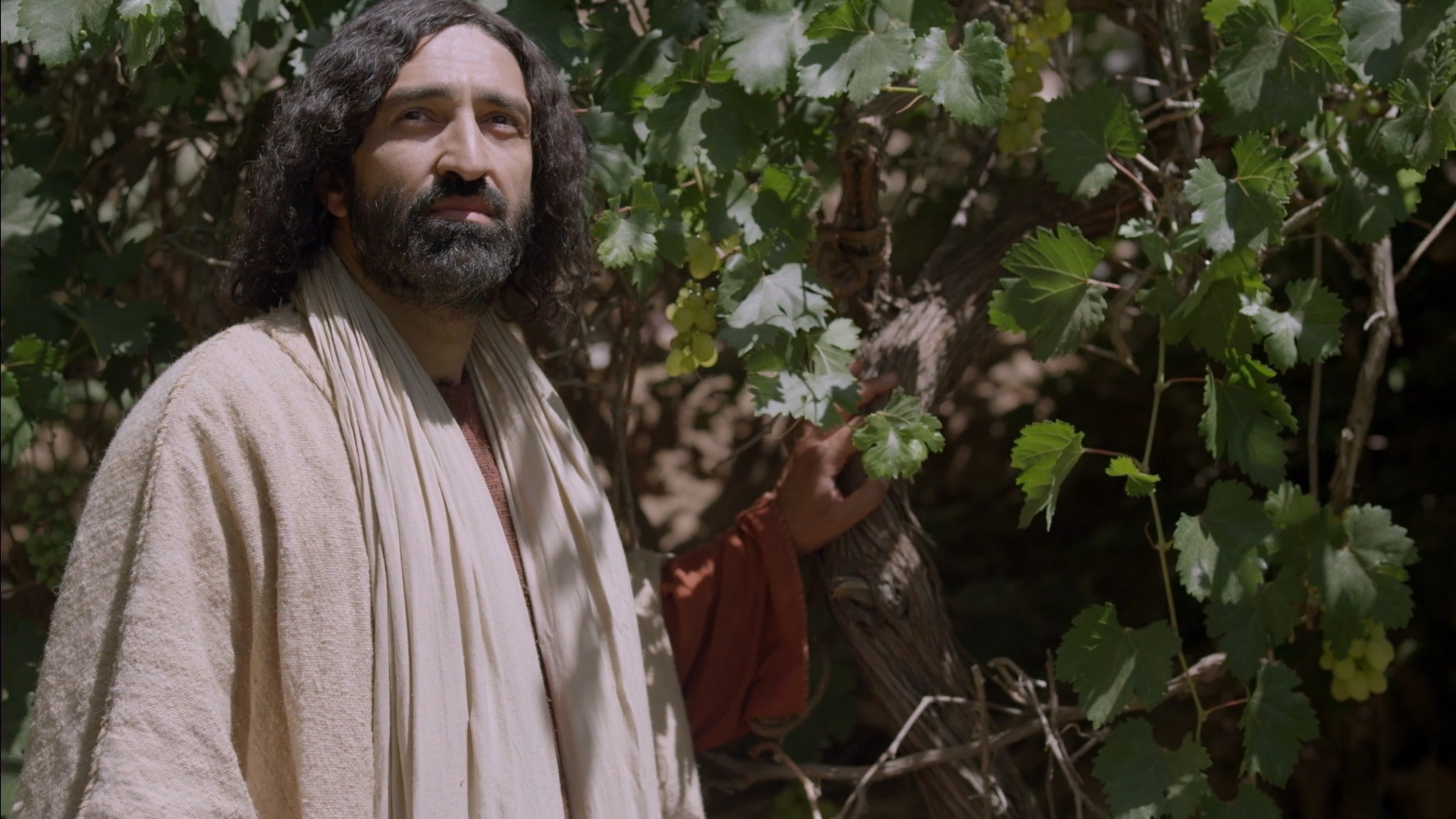 Евангелие от Иоанна, глава 15 смотреть онлайн