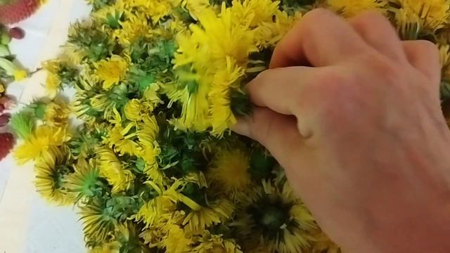 первые заготовки на зиму смотреть онлайн