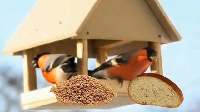 Снегири смотреть онлайн