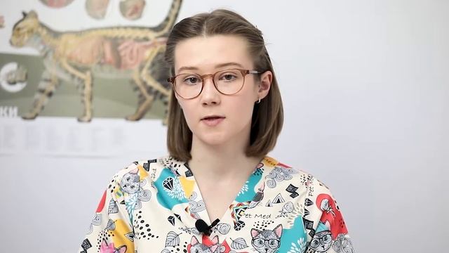 Всё о стерилизации кошки от ветеринарного врача Натальи Корнеевой смотреть онлайн