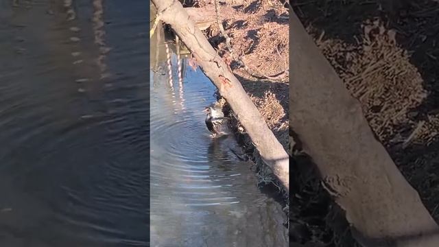 Padua La Specola смотреть онлайн