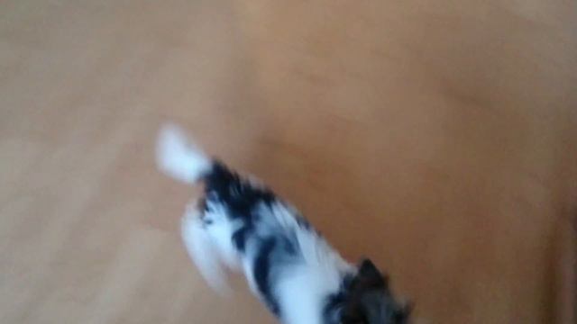 Комочек счастья смотреть онлайн