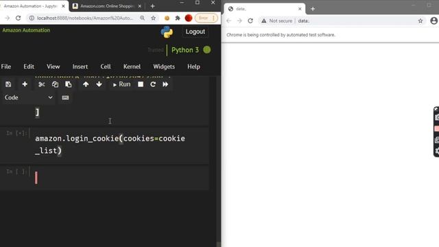 Amazon Auto Checkout Bot | Login with Cookies - Python, DataKund смотреть онлайн