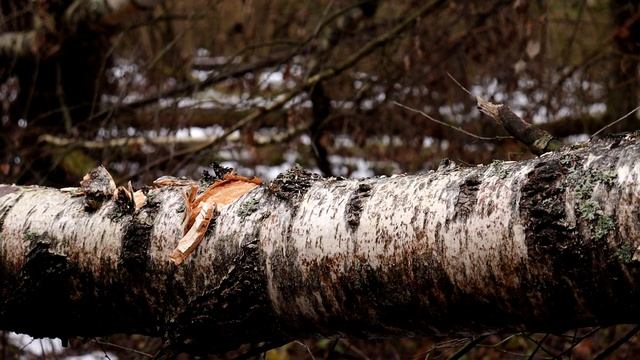 Моя новая камера Canon Eos 250d