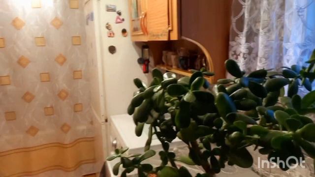 ТРУ ДЕРУ АЖ ГАЙ ШУМИТЬ #прибирання смотреть онлайн