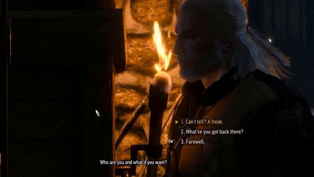 The Witcher 3 Pyres Of Novigrad -- Visit Triss In Her House Part-2(No Adds) смотреть онлайн