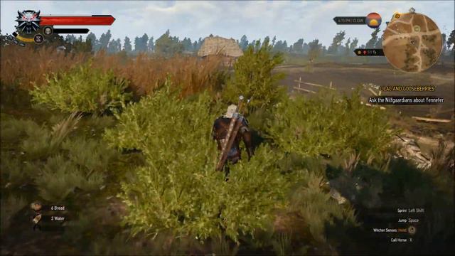The Witcher 3 episode 3 - Swimming swimming in a swimming pool! смотреть онлайн