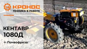 Мотоблок Кентавр 1080Д (Toyokawa) с фрезой в работе