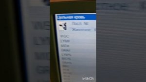 У коровы плохой вкус молока и запах молока не приятный Есть ответ после обследования, осмотра коров