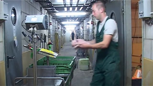 Varkens fokkerij Klijn смотреть онлайн