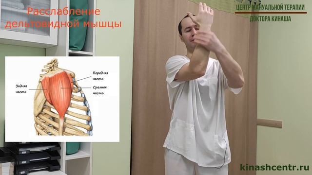 Расслабление дельтовидной мышцы. Боль в плече смотреть онлайн
