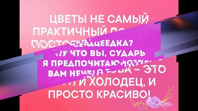 Смешные анекдоты. Веселые приколы. Юмористическая открытка для настроения и позитива. смотреть онлайн