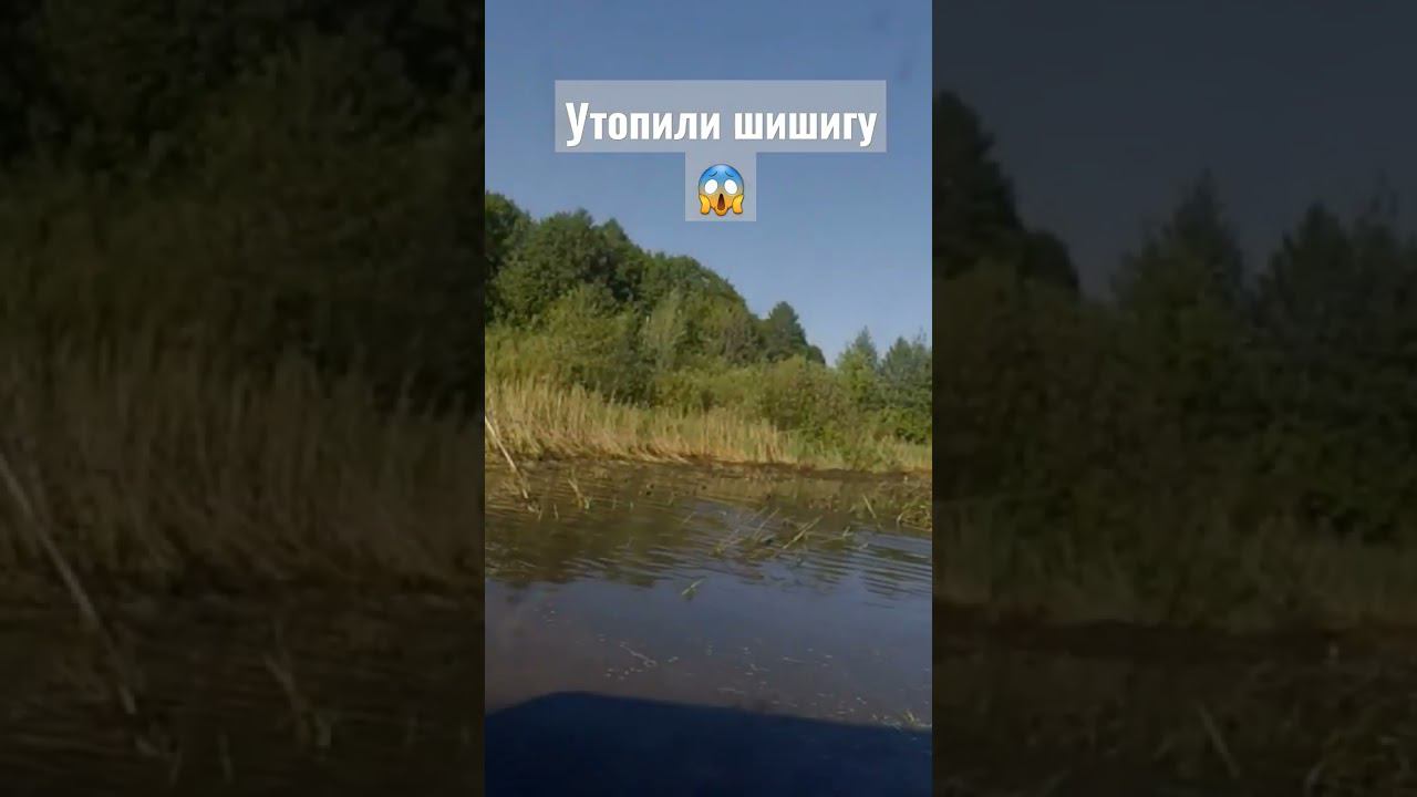 будет жить? #газ66 #газ #offroad #оффроуд #race #racing #грузовик #russia #бездорожье смотреть онлайн