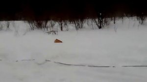 Лебёдка на МтЗ
