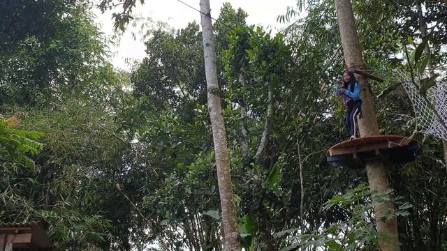 Tree Game Tree Top Swing Zipline at De'Brokong Bali Adventure смотреть онлайн