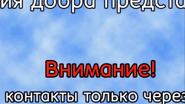 Как возникают некротические связи Школа ПСИ 472 смотреть онлайн