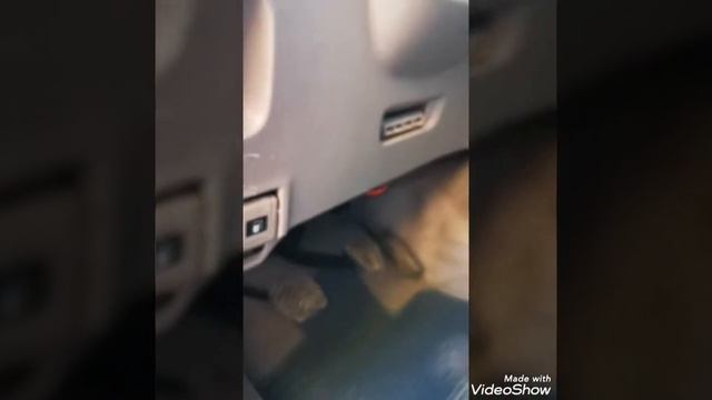 Автоэксперт и ТЛК 100. Честный владелец.