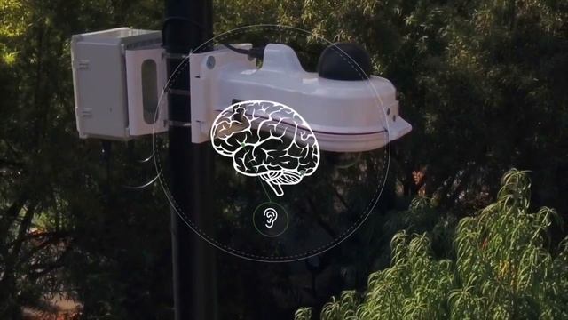 V5 Systems & Oracle Cloud: Setting AI Free смотреть онлайн