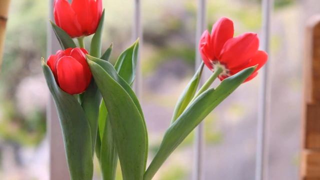 Поздравление с юбилеем в стихах смотреть онлайн