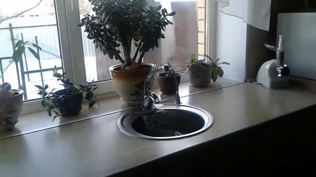 Алушка хлопочет/Дневник Домохозяйки/ смотреть онлайн
