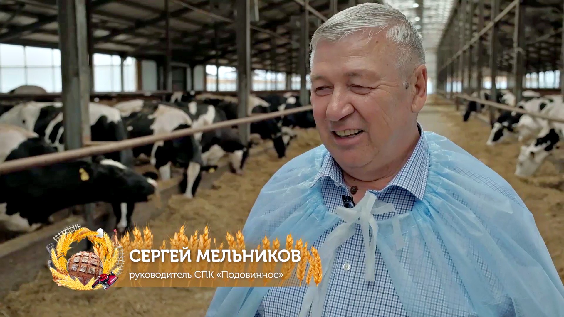 Программа "Хлеба и зрелищ!", выпуск от 18.06.2023 смотреть онлайн