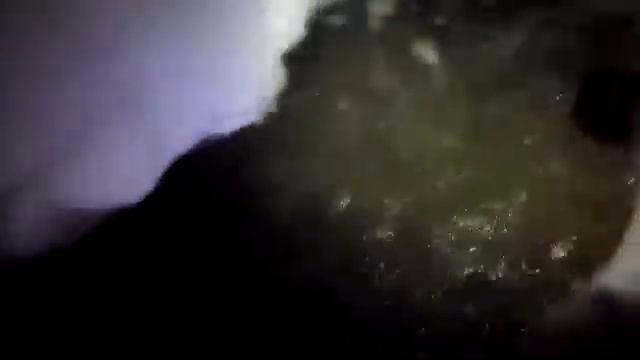 Замор на реке Обь.Загар.Ночная рыбалка.Сургут,Барсово. смотреть онлайн