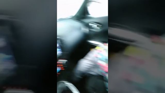 Спасение кошки. Выпала их окна. Кошка замёрзла. В итоге умерла в клинике