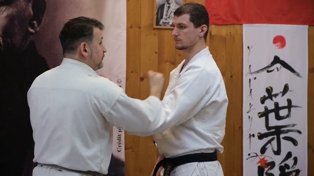 WA BUDO 45 MIKHAIL KOKIN 8 DAN KIOKUSHIN KAI смотреть онлайн