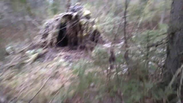 Ловля малиновых щуров Кировская область смотреть онлайн