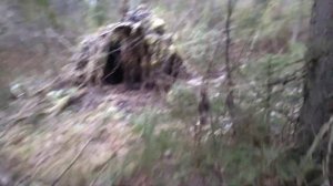 Ловля малиновых  щуров Кировская область