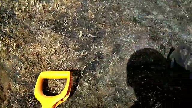 Сердце замерло когда оно появилось из земли!!! Коп с ВАНКВИШ 440. смотреть онлайн