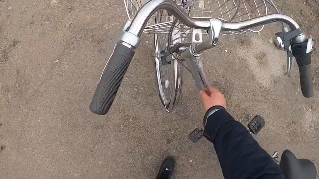 Строганина из камбалы. Японский велосипед PANASONIC. Компьютерные дрочеры златовласки