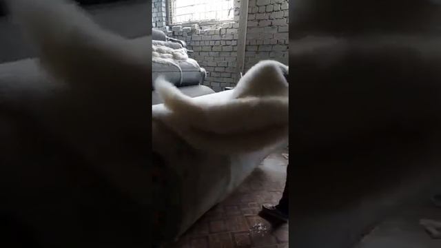 Процесс чески шерсти и пошив матрацов и одеял смотреть онлайн