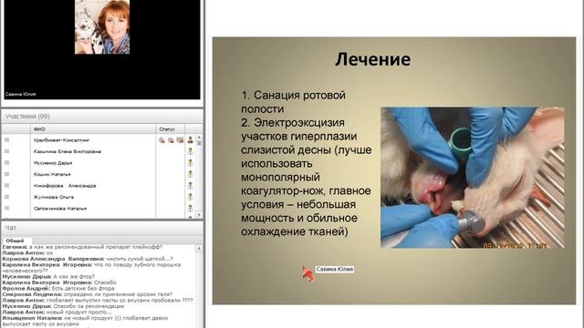 Гингивостоматиты кошек. Савина Юлия #убвк_стоматология смотреть онлайн