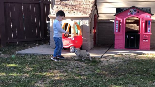 Christmas Puppy Surprise! Caleb Plays Outside with New Puppy! смотреть онлайн