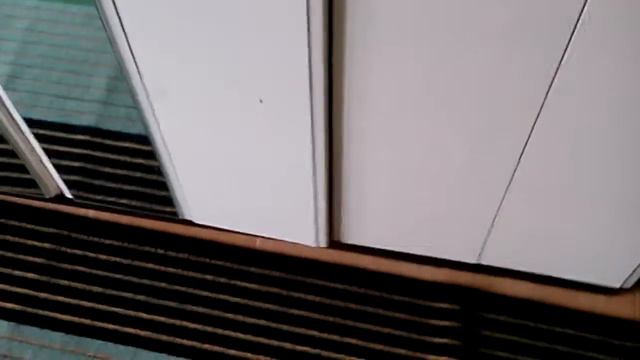 #дикари сочи, номер на двоих с удобствами в номере за 2500 р в сутки смотреть онлайн