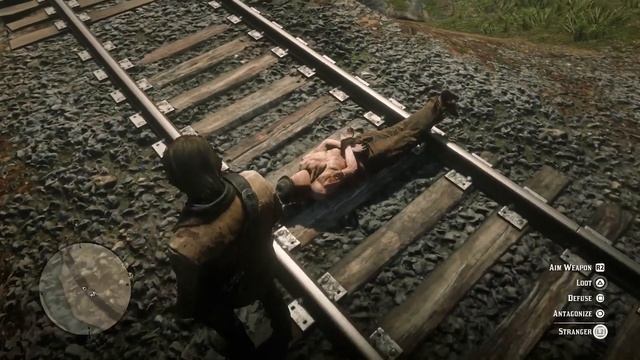 Easy Way To Wake Up Knocked Out NPCs - Red Dead Redemption 2 смотреть онлайн