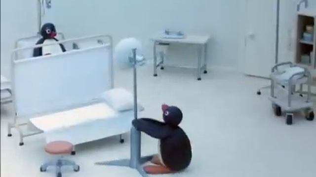 Pingu's Hospital Visit- Pingu Official Channel