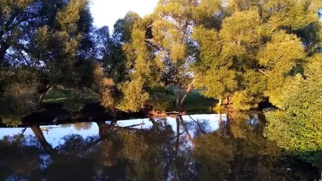 Читаем стихи. Муса Муртазин. смотреть онлайн