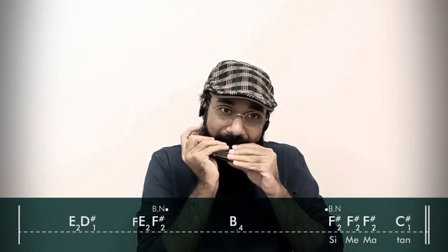 Si Me Matan - Silvana Estrada - Harmonica cover by Saeed Ghasemi смотреть онлайн